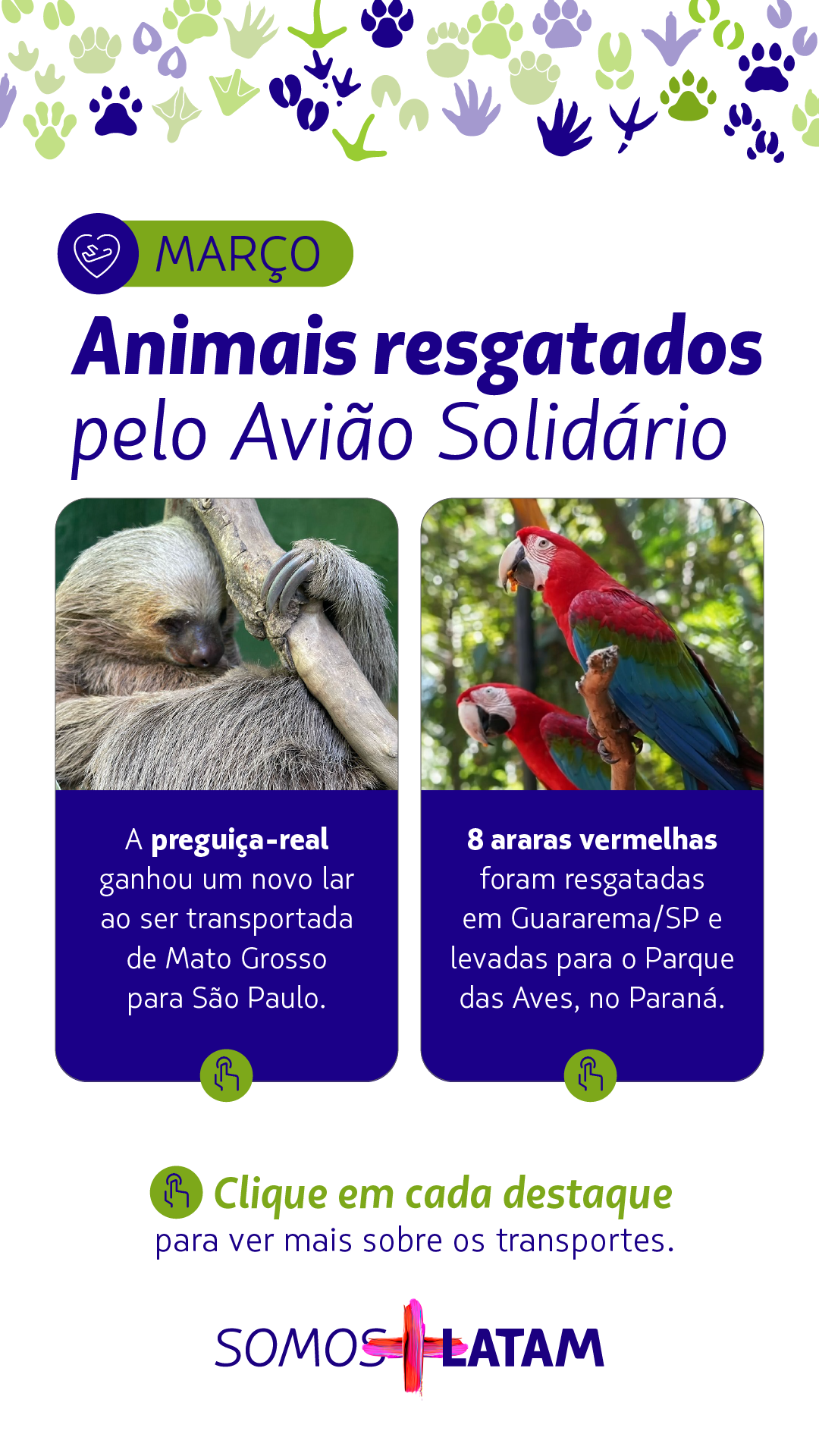 LATAM_app_03-04_Animais-Resgatados_marco